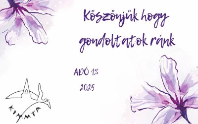 Adó 1% felajánlás 2025